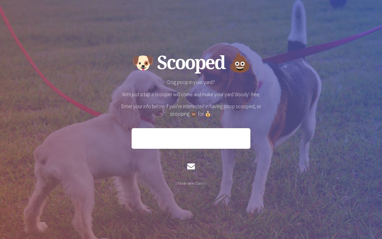 Carrd profile picture for @scooped